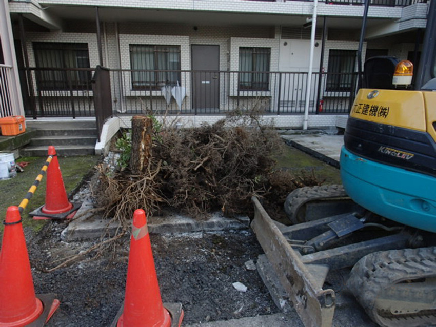 セントラルコート川口 03